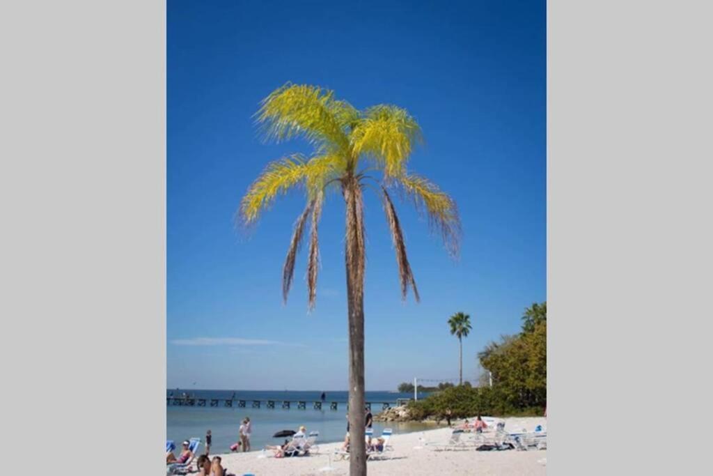 Sea Spray, Studio 114, Beach Steps Away! Pool+Wifi 拉斯金 外观 照片
